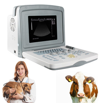 Veterinary Ultimate Compact and NEW Lightweight Design for VET Portable 3d Ultrasound Veterinary Scanner Laptop B Cheap Veterinary Full Digital Transfer SINOHERO S880 Type Animal Machine