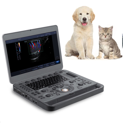 Plastic Resolution 15.6 Inch Laptop X5 Color Doppler System Portable Ultrasound Machine